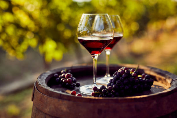 Mastering the Art of Wine Making: Topping Up Your Homemade Wines