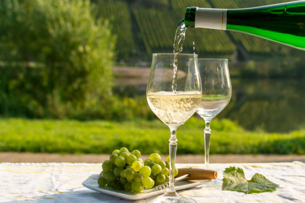 Unveiling Sicily’s Best Kept Secret: The White Wines to Buy Now