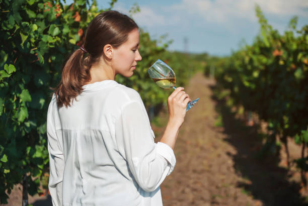 Winery Profile: Yering Farm Wines