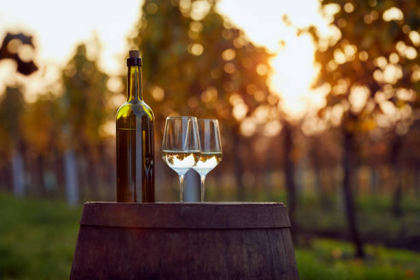 Winery Spotlight: Yering Farm Wines